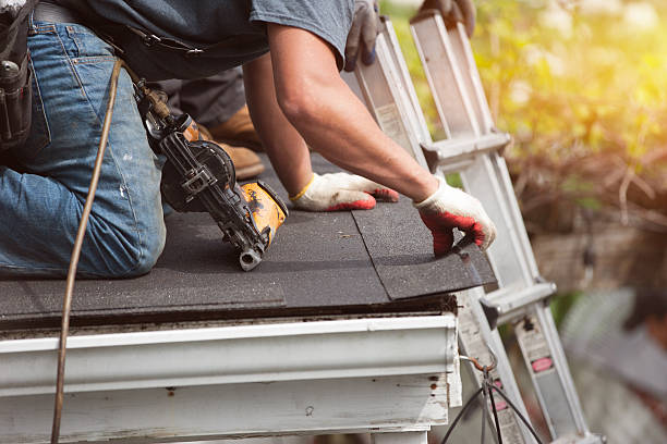 Best Roof Gutter Cleaning  in El Portal, FL
